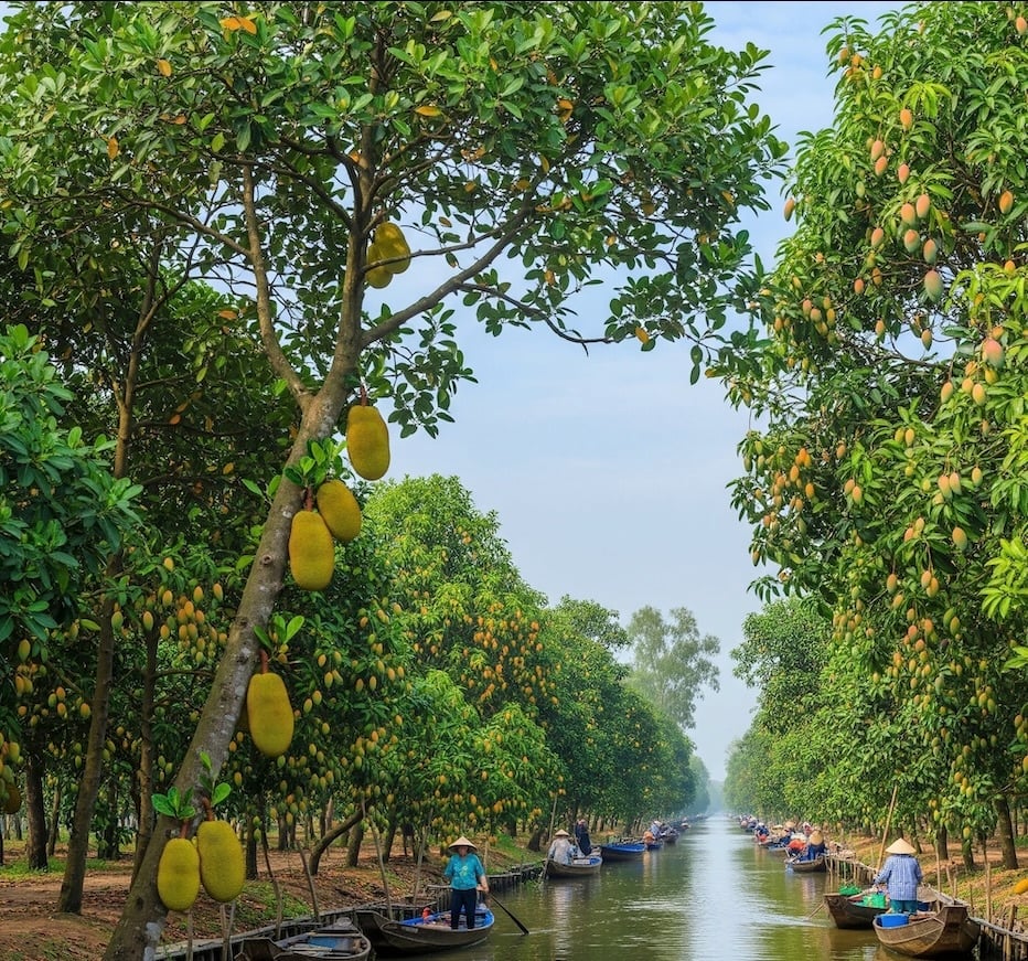 Ovocny sad Mekong4